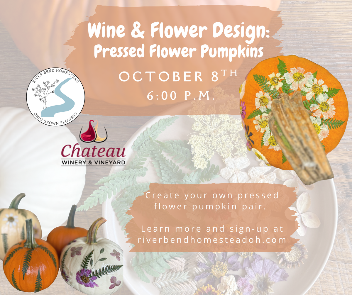 Wine & Flower Design: A Pressed Flower Workshop-10/8/26