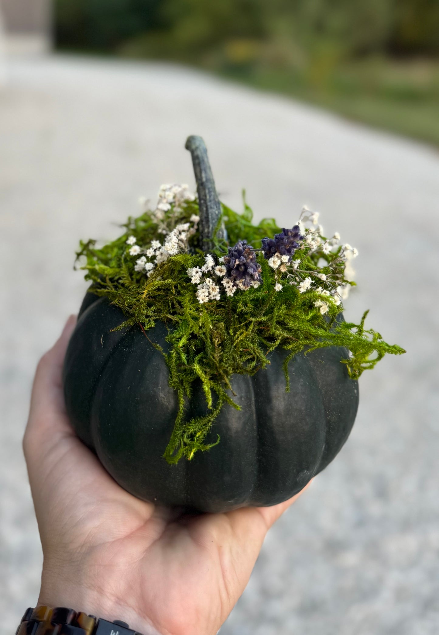 Small Dried Flower Pumpkin
