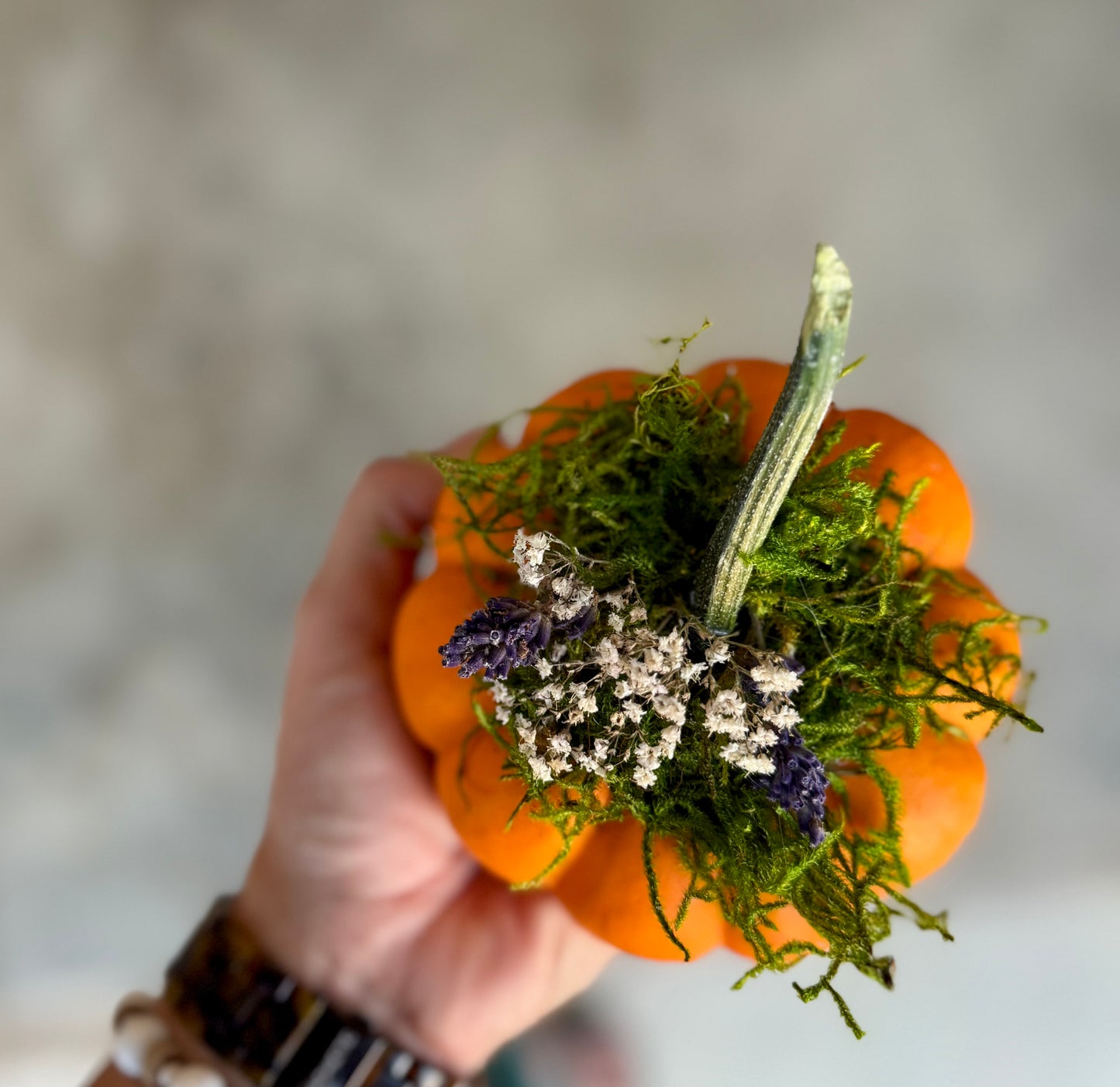 Small Dried Flower Pumpkin