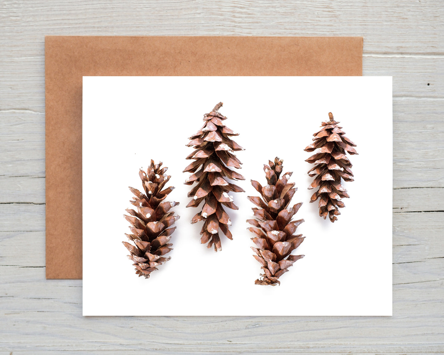 Pines in a Line Card