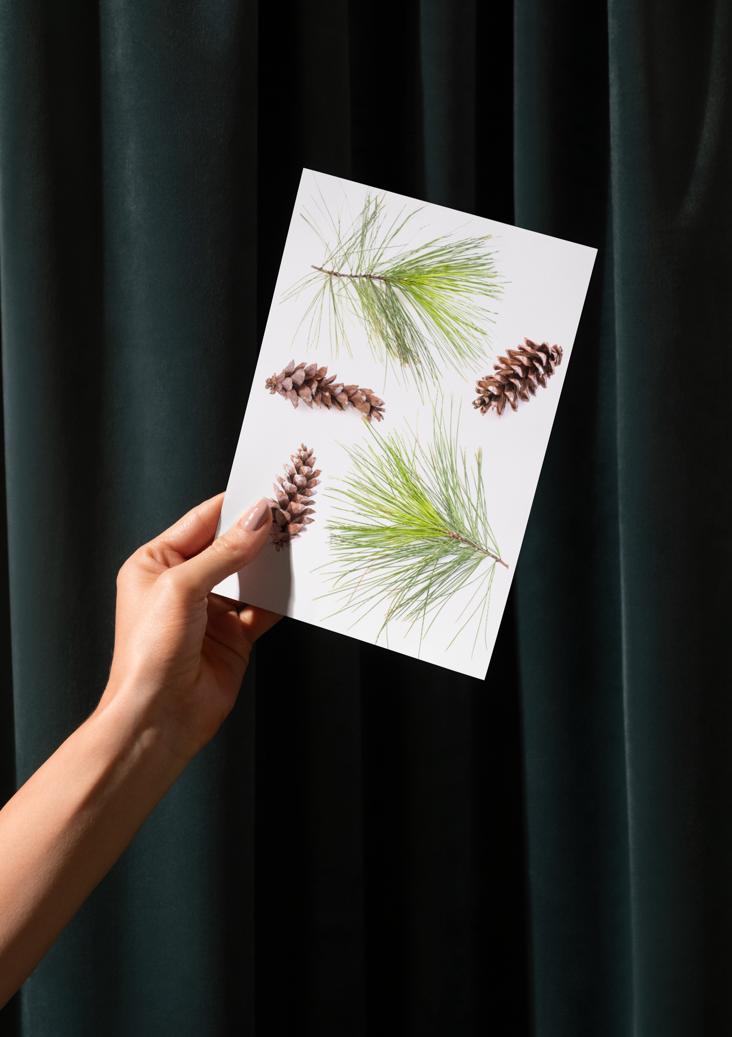 Scattered Evergeen Card