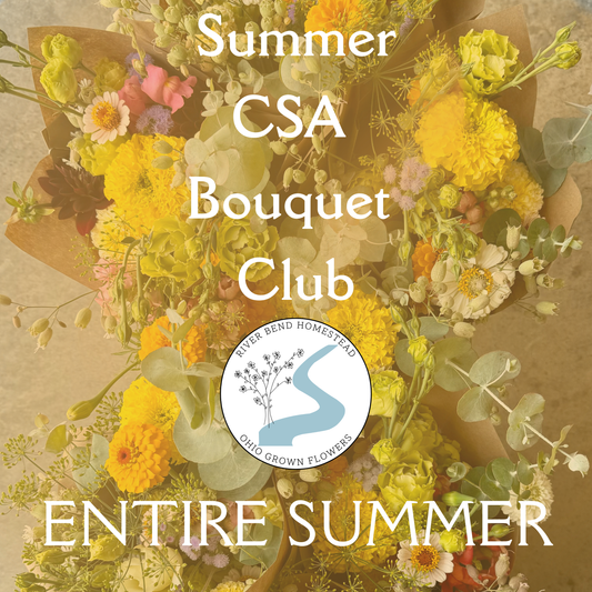 River Bend Homestead CSA Bouquet Club-ENTIRE SUMMER