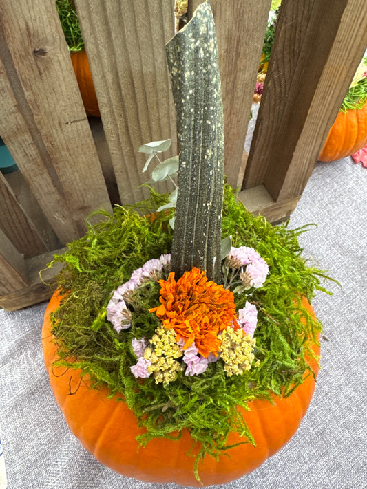 Large Dried Flower Pumpkin