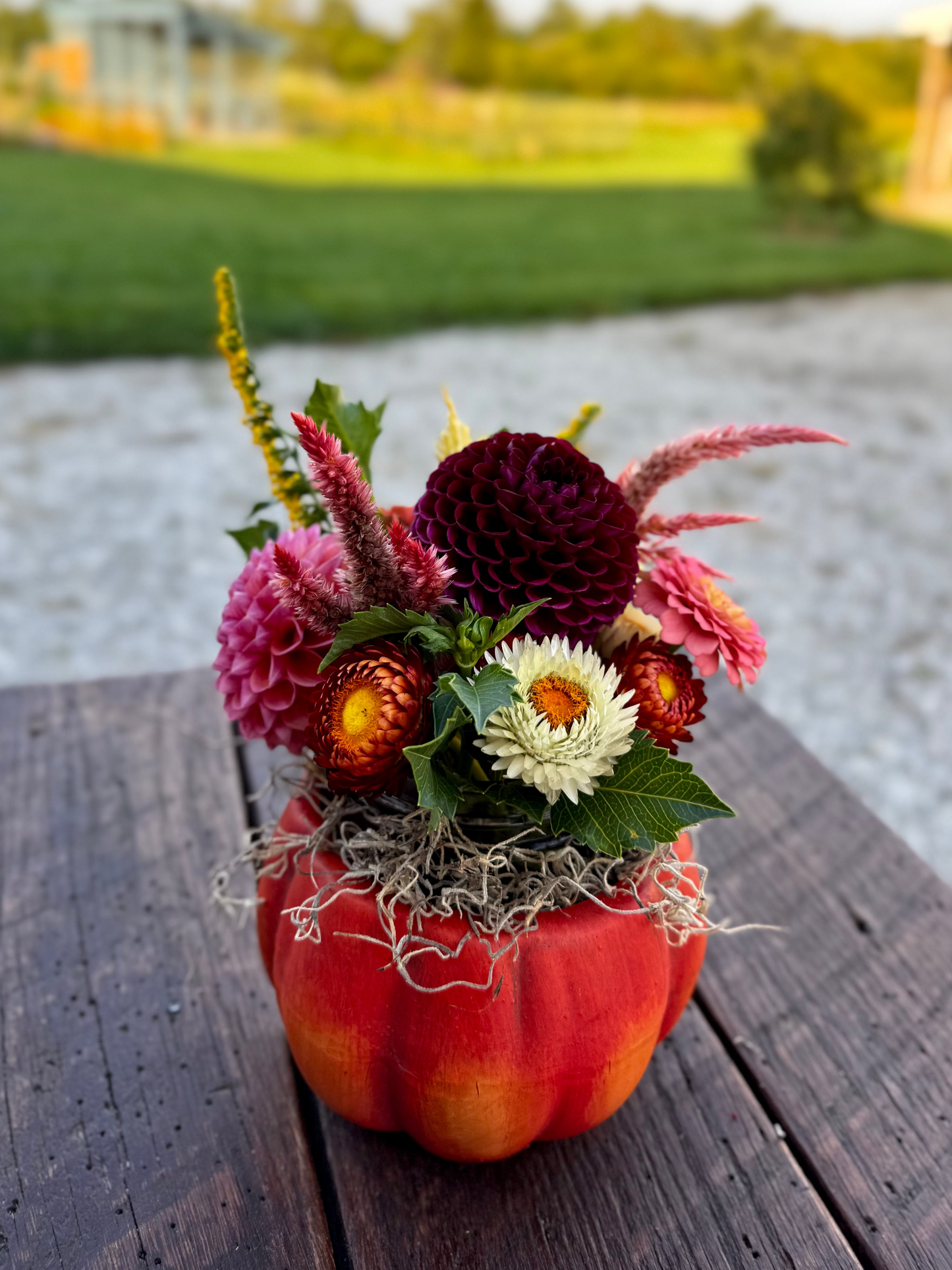 Ceramic Pumpkin Fresh Arrangement