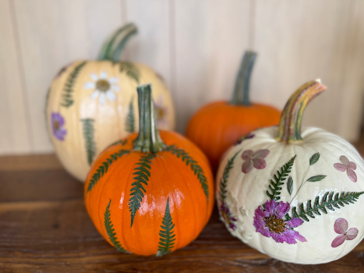 Twin Oast Pressed Flower Pumpkin Workshop