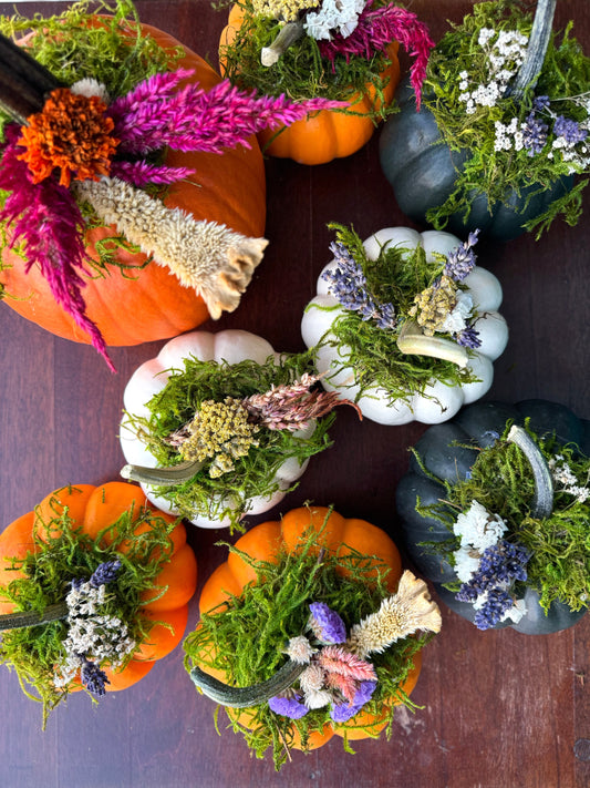 Small Dried Flower Pumpkin