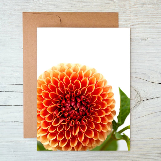 Dahlia Card