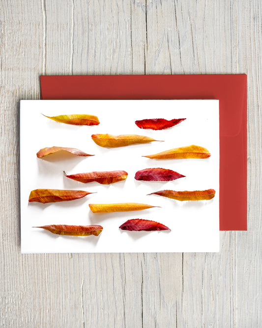 Lines of Leaves Card