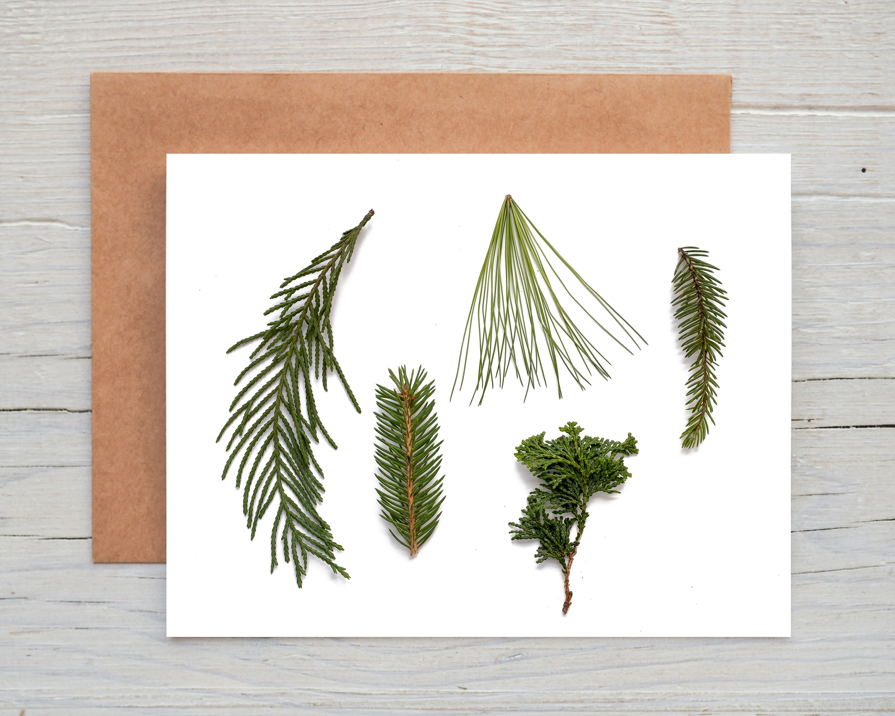 Evergreenery Card – River Bend Homestead