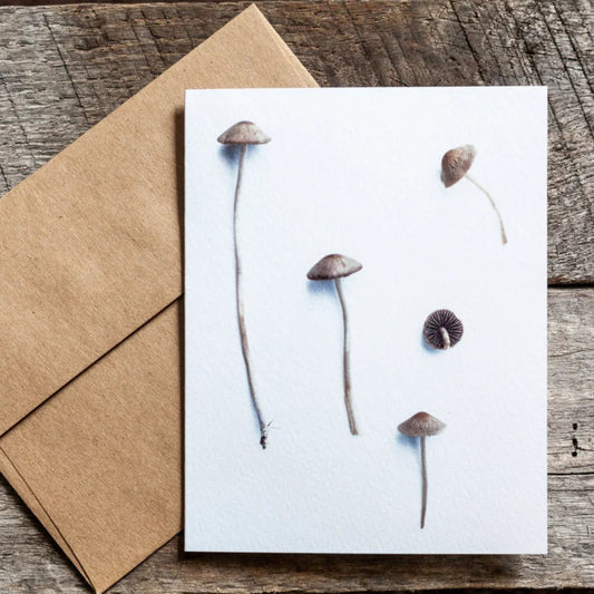 Mower's Mushroom Card