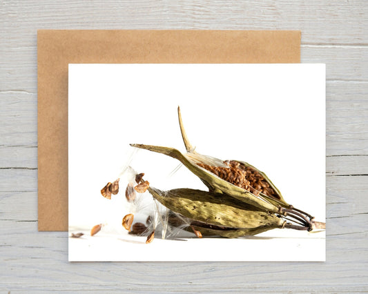 Swamp Milkweed Seed Pod Card
