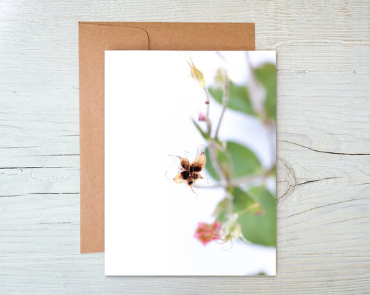 Wild Columbine Card